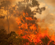 Incendies en Californie : impact sur la Bourse 