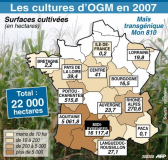 OGM : les députés débattent des conditions de culture